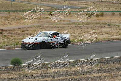 media/May-03-2025-Lucky Dog Racing (Sat) [[206de64b9d]]/Turn 6 (150pm-230pm)/